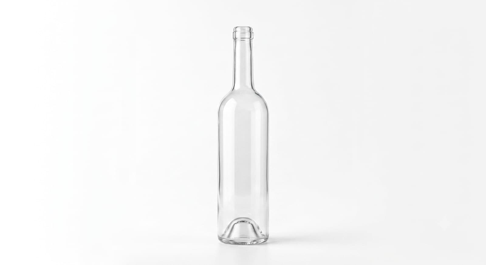 Bordo 310 — Clear